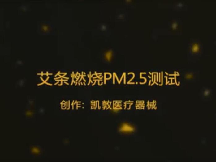 艾条燃烧PM2.5测试